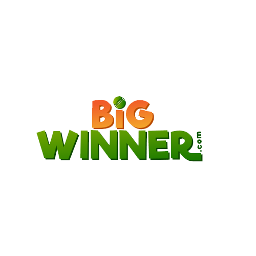 BigWinner Casino