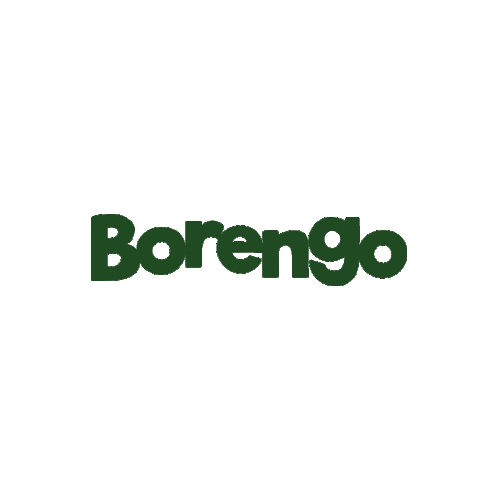 Borengo Casino