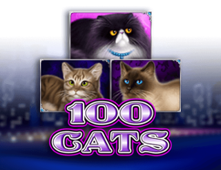 100 Cats