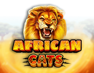 African Cats