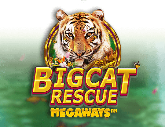 Big Cat Rescue Megaways