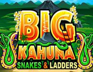 Big Kahuna Snakes and Ladders