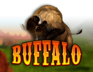 Buffalo Bingo