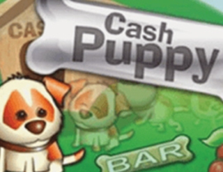 Cash Puppy