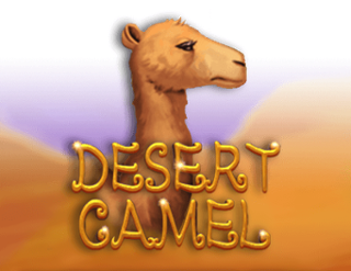 Desert Camel