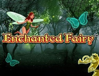 Enchanted Fairy