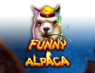 Funny Alpaca