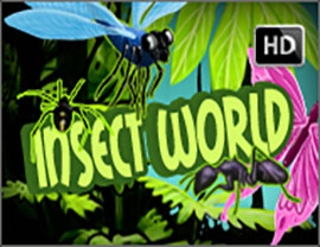 Insect World