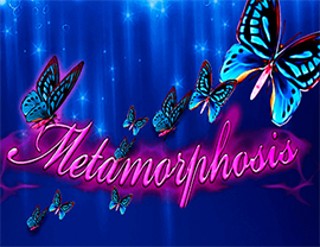 Metamorphosis