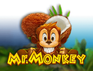 Mr. Monkey