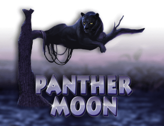 Panther Moon