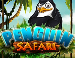 Penguin Safari