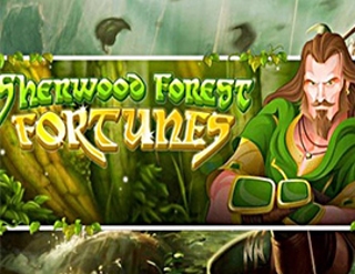 Sherwood Forest Fortunes