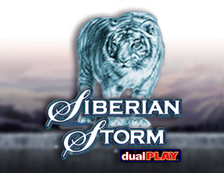 Siberian Storm Dual Play