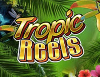 Tropic Reels