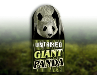 Untamed Giant Panda