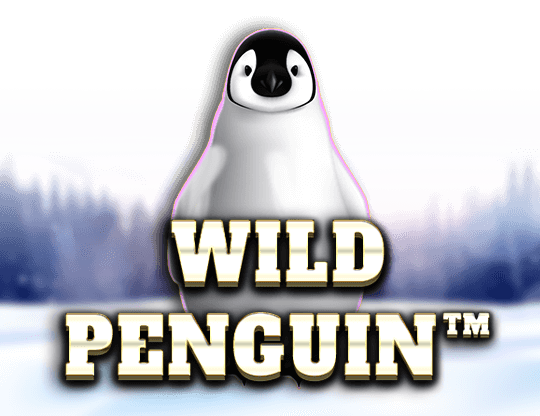 Wild Penguin