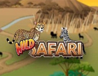 Wild Safari