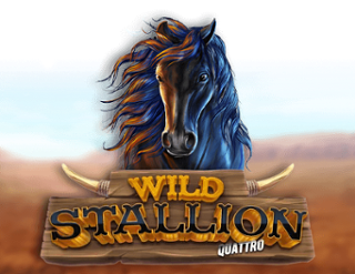 Wild Stallion