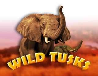 Wild Tusks