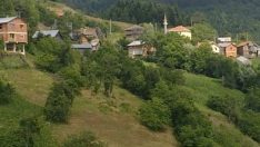 Kolca Köyü